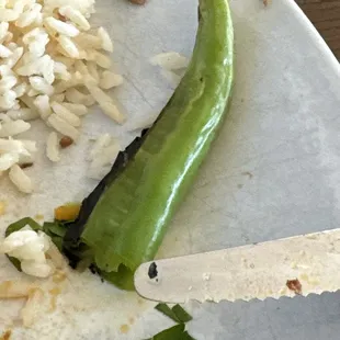 The very spicy pepper. They should put a warning label on it.
