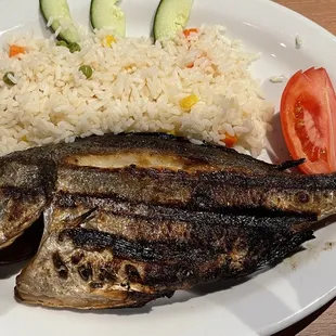 Fish