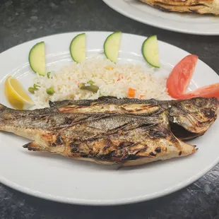 Sea Bass