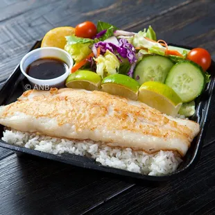 #4 Fish Plate