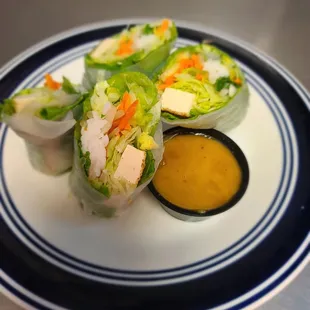 Fresh Spring Rolls