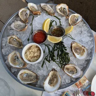 Oysters