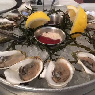 Oysters on the Half Shell