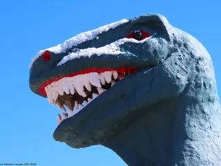 Grand Canyon Caverns