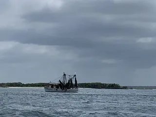 Amelia Island Charters