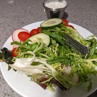 I've gathered the wilting that I found so far to the left. Side salad.