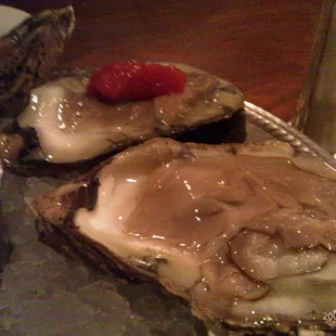 Oysters