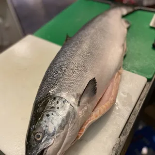 Fresh Atlantic Salmon (farm raised)