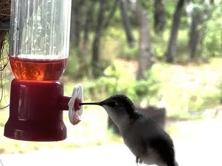 Fishers Of Men RV Park