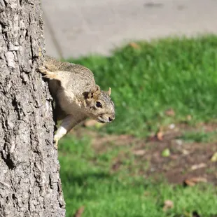 Watch out for your sandwich