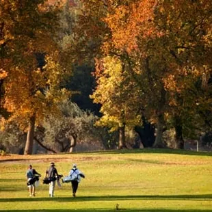 A great course to walk