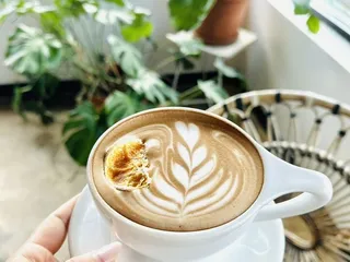 Not Just Coffee - Jay Street