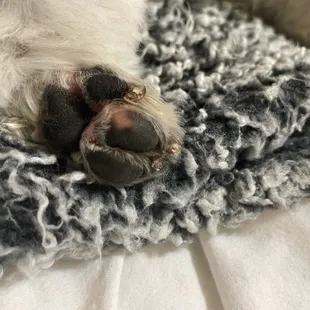 the size comparison of the nails