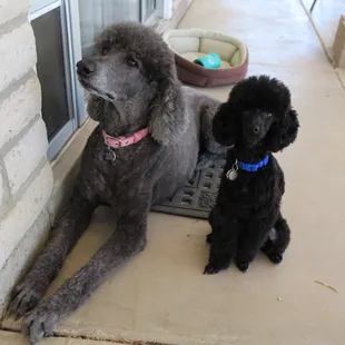 We're both clean at the same time!