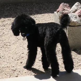 I love my big boy pants!