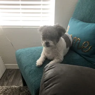 Zoey looking like a Princess