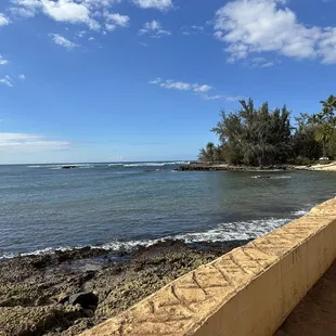 Beautiful place! Turtles Come in to eat