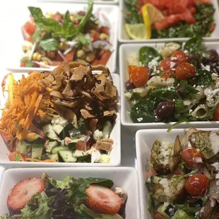 Fatoush, Tabouli,Garbanzo,Cranberry spinach, pasta feta cheese and Falafel Salads