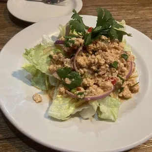 Larb Chicken Salad
