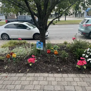 a car parked on the side of the road