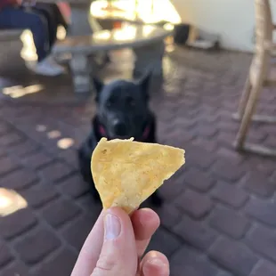 a hand holding a piece of food