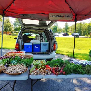 n open trunk of a car