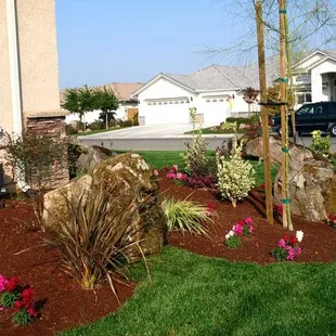 landscape Boulders and humus