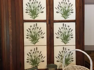 Willowfield Lavender Farm