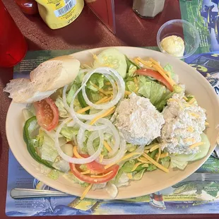 Yummy Chicken salad lunch special plate