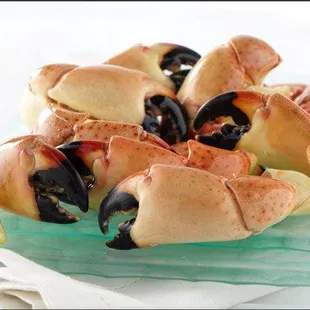 Florida Stone Crab Claws