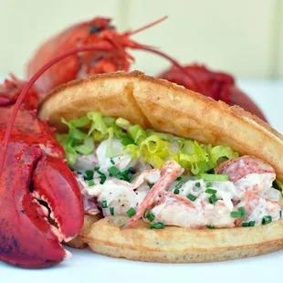 Beautiful Lobster Roll on a Waffle