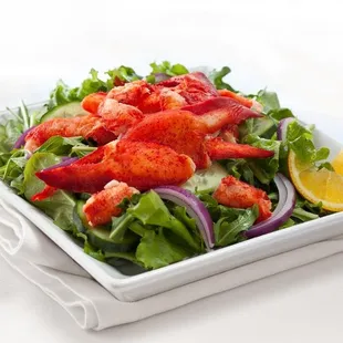 Cooked CKL (Claw Knuckle Leg) Lobster Meat Salad