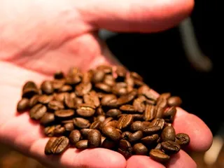 Austin Roasting Company