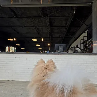 Outside Bar/ordering (pet friendly)