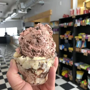 a hand holding a cup of ice cream