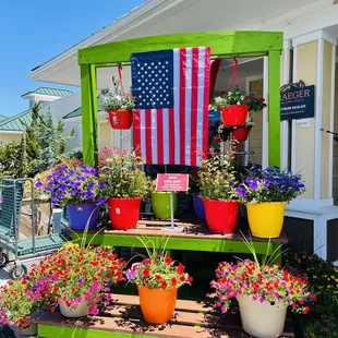 a display of potted plants