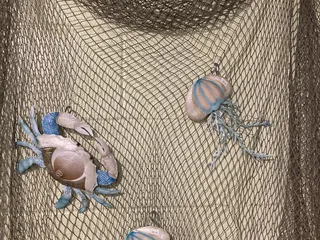 Four Seasons Nursery