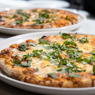 Pizza Margherita