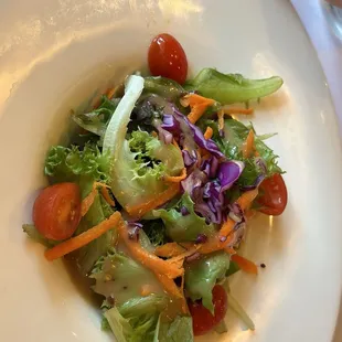 Side House Salad.  Not the best.