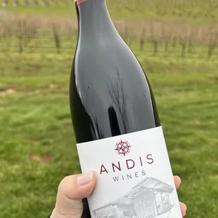 a hand holding a bottle of wine