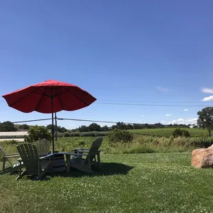 Open vineyard view at the seating area.
