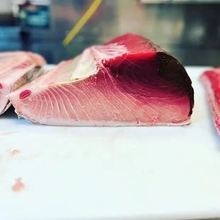 Fattty Blue fun tuna