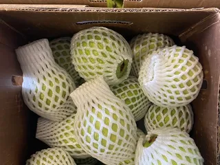 Tejal India Grocery