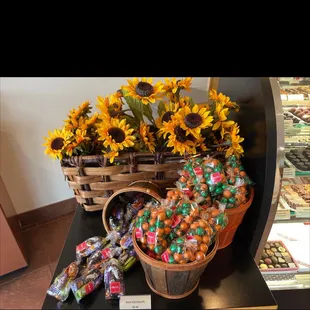 a display of sunflowers
