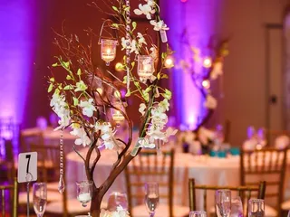 Simply Elegant Event & Wedding Design