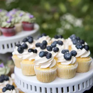 lemon cupcakes topped off with fresh blueberries