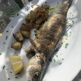 Branzino