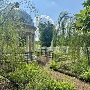 Jackson graves in the garden