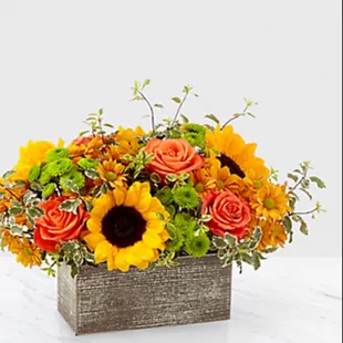 EXCLUSIVE A thoughtful gift!!!!!