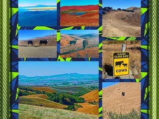 Lynch Canyon Open Space